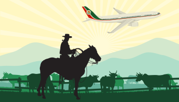 The Flight and Capture of a Cartel Man