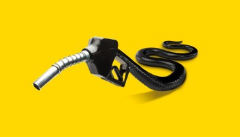 How Biofuels Scams Have Undermined A Flagship EU Climate Policy