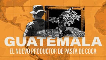 Coca Crops and Labs: Guatemala, the New Narco Territory