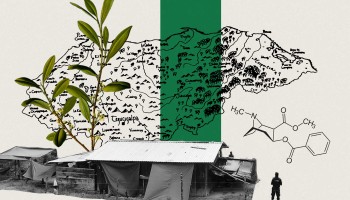 Cultivating Coca and Formenting Fear in Honduras