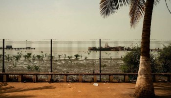 Colombia's Clan Del Golfo Ignored African Connections