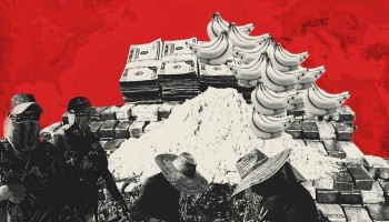 Bananas & cocaine: the Clan del Golfo and ‘Ndrangheta alliance
