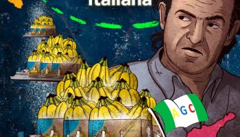 Banana company that financed politician is targeted for cocaine shipments to Italian mafia