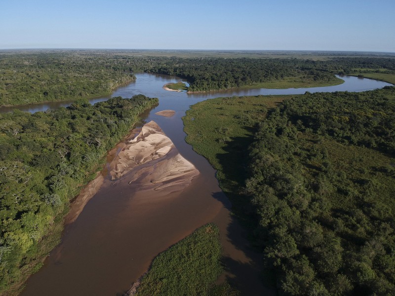 Criminal Groups Drive Deforestation in Brazilian Amazon State, Authorities Say