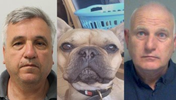 'Bob the Dog' Helps UK Police in £45m Drug Bust