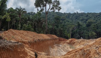 Brazil Prosecutors Move to Halt $180M Amazon Carbon Deal