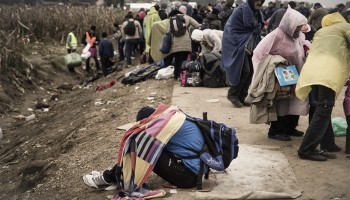 Migrant Smuggling Ring Dismantled in Bosnia Operation