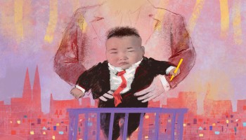 Boss Babies: The Children Who Own Hundreds of Luxembourg Corporations