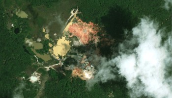 Death of a Forest