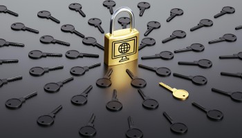 Internet Ownership