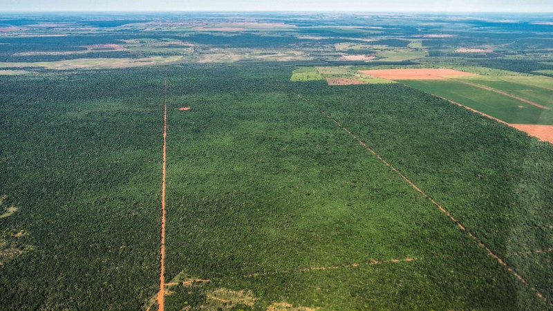 Paraguay Banks Pledging Sustainability Financed Companies Owned By Businessman With Record of Environmental Crime