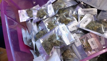A Man Convicted of Insider Trading Had Ties to a Firm Holding State Cannabis Contracts