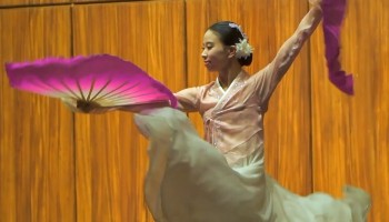 Suspicious Contractors: Central American Bank for Economic Integration and Korea